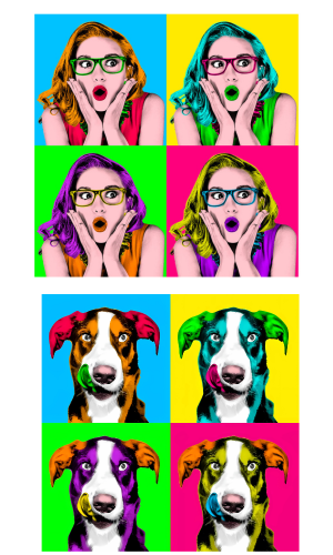 Andy warhol style