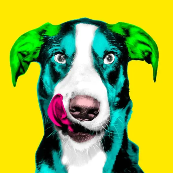 Custom Pop Art Portrait of Your Beloved Pet - Vibrant & Unique Illustration Custom Andy Warhol Dog,Colorful Dog Portrait,wpap art