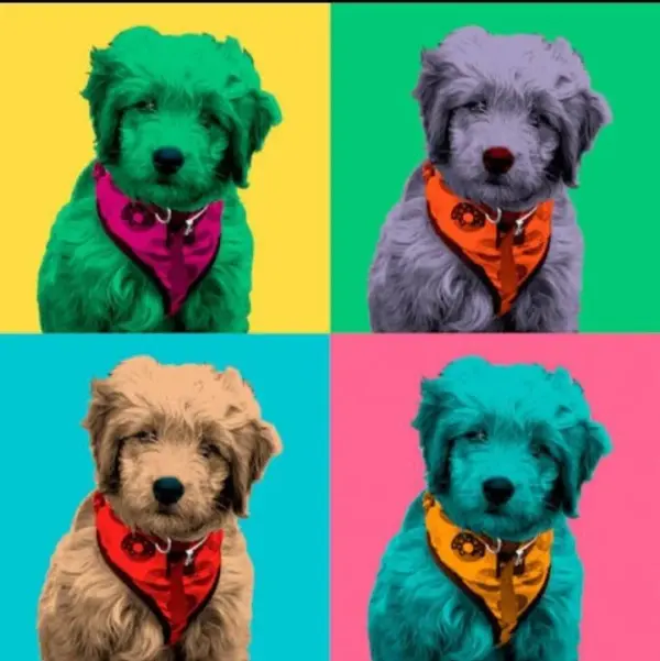 Custom Pop Art Portrait of Your Beloved Pet - Vibrant & Unique Illustration Custom Andy Warhol Dog,Colorful Dog Portrait,wpap art