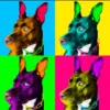 Custom Pop Art Portrait of Your Beloved Pet - Vibrant & Unique Illustration Custom Andy Warhol Dog,Colorful Dog Portrait,wpap art