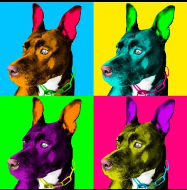 Custom Pop Art Portrait of Your Beloved Pet - Vibrant & Unique Illustration Custom Andy Warhol Dog,Colorful Dog Portrait,wpap art