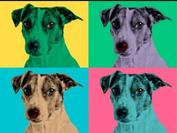 Custom Pop Art Portrait of Your Beloved Pet - Vibrant & Unique Illustration Custom Andy Warhol Dog,Colorful Dog Portrait,wpap art