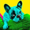 Custom Pop Art Portrait of Your Beloved Pet - Vibrant & Unique Illustration Custom Andy Warhol Dog,Colorful Dog Portrait,wpap art