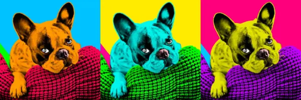 Custom Pop Art Portrait of Your Beloved Pet - Vibrant & Unique Illustration Custom Andy Warhol Dog,Colorful Dog Portrait,wpap art