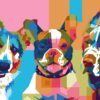 Hand-drawn WPAP-style cat portrait made from photo