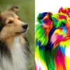 Custom WPAP cat portrait print – vibrant pop art design