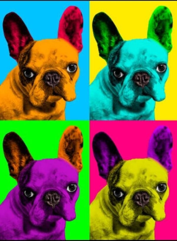 Custom Pop Art Portrait of Your Beloved Pet pet portrait,dog portrait ,custom dog portrait, cat portrait,pet memorial,dog's mom gift