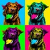 Custom Pop Art Portrait of Your Beloved Pet pet portrait,dog portrait ,custom dog portrait, cat portrait,pet memorial,dog's mom gift