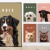 il_fullxfull.6089507271_rfmx.jpg Vector Art Pet Portrait: Custom Cartoon Dog, Cat Drawing (Digital File Only)